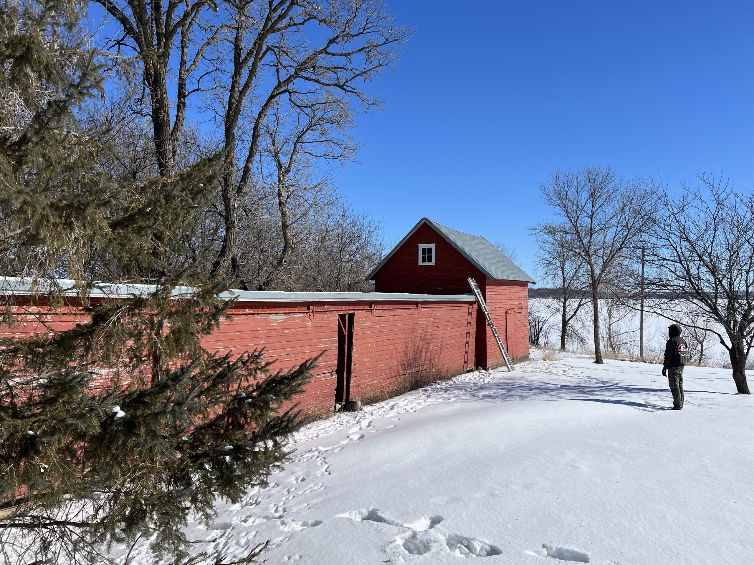 Img 20250404 094333 (1)